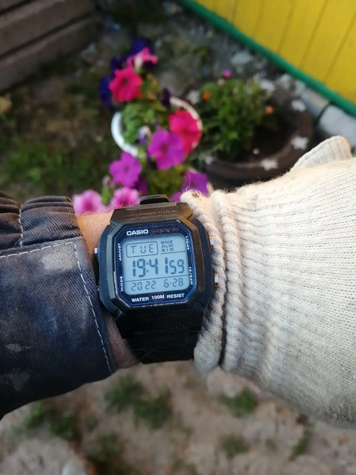 Часы Casio Collection W-800H-1A купить в Казани по цене 3980 RUB: описание,  характеристики