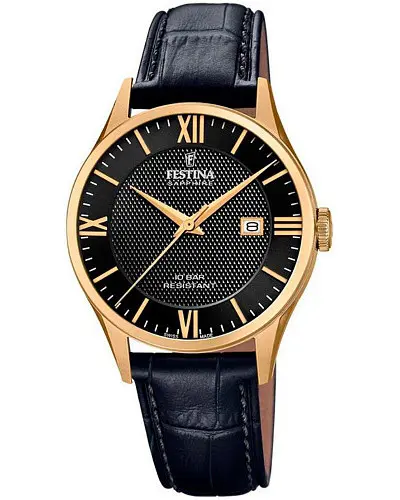 Festina Classic F20010/4