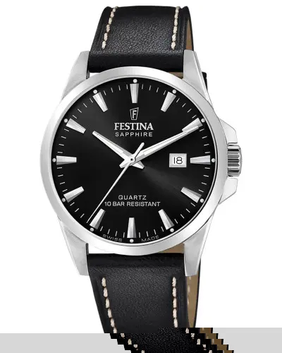 Festina Classic F20025/4