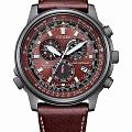 Часы Citizen Promaster CB5868-09X