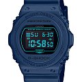 Часы Casio G-Shock DW-5700BBM-2