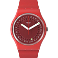 Часы Swatch Gent Biosourced Standart SO28R400