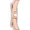 Часы DKNY NY2902 фото 2