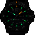Часы Luminox Master Carbon SEAL Automatic XS.3875 фото 2