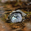 Часы Casio G-Shock GD-120CM-5 фото 3