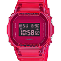 Часы Casio G-Shock DW-5600SB-4